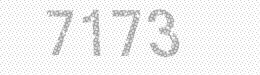 Visual security code — type the characters shown in the image